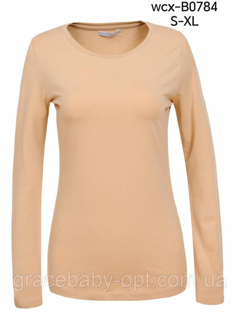 Реглан жіночий оптом, Glo-story, S-XL pp, № WCX-B0784, фото 1