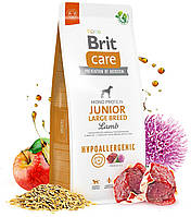 Сухий корм для молодих собак і цуценят великих порід Brit Care Hypoallergenic Junior Large 12 кг