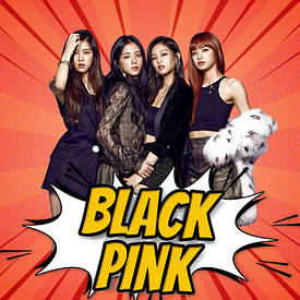 Атрибутика та сувеніри по тематиці Black Pink