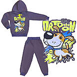 Толстовка і штани Пес Патрон начос 3-х нитка 04.17.00, фото 5