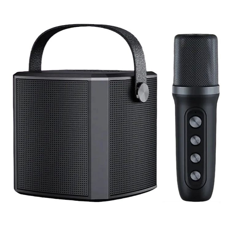 Портативна колонка з караоке мікрофоном YS102 10 W Bluetooth, HiFi, USB, microSD, AUX, Type-C Чорний