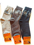 Шкарпетки чоловічі махрові вовна Термо Lomani р.41-45, фото 2