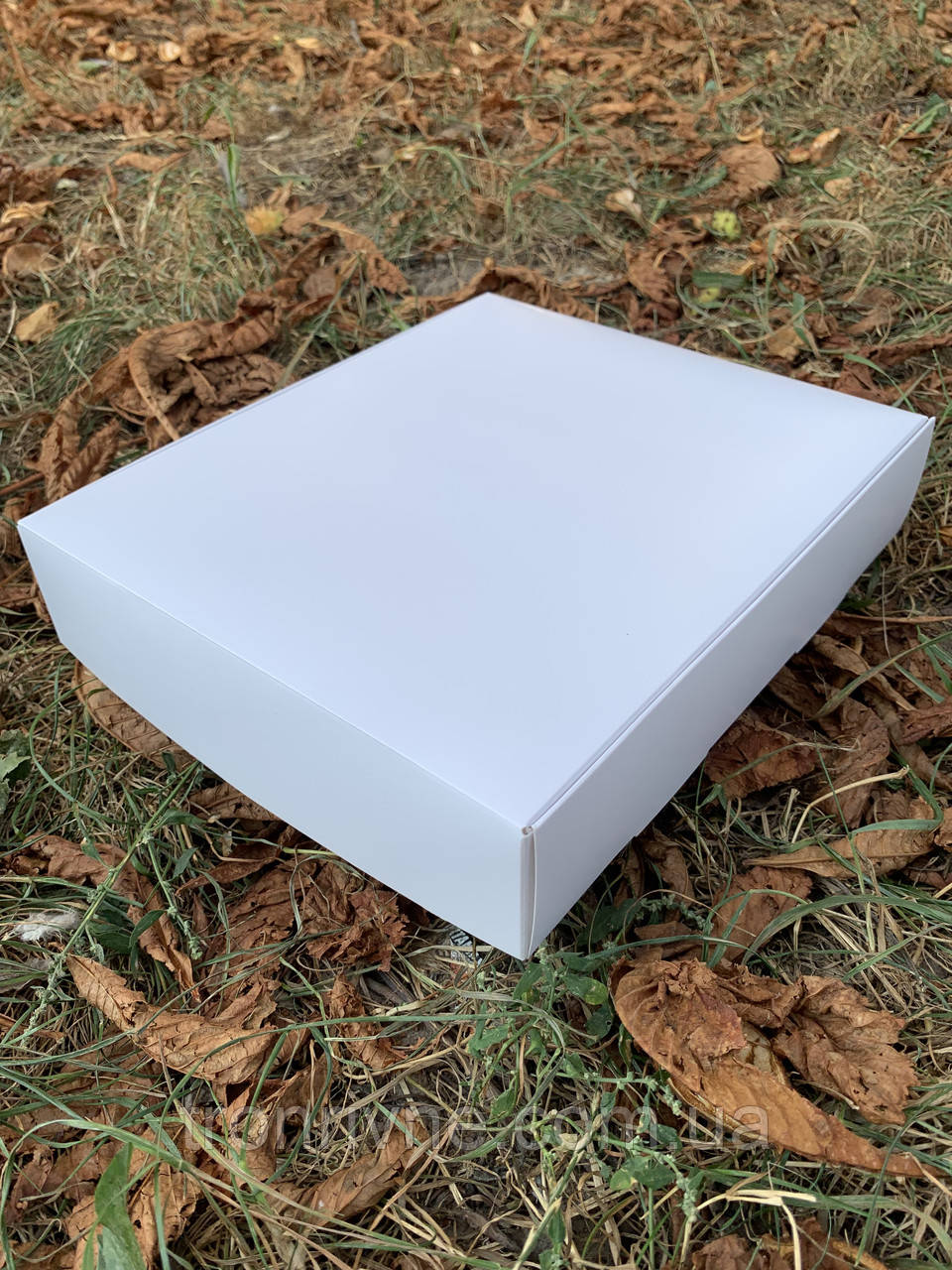 Коробка кондитерська 24х20х5см, біла, за 1шт