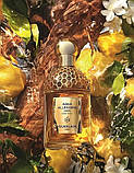 Guerlain Aqua Allegoria Forte Oud Yuzu Парфумована вода, 1 мл Пробник, фото 3