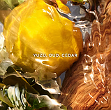 Guerlain Aqua Allegoria Forte Oud Yuzu Парфумована вода, 1 мл Пробник, фото 5