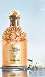 Guerlain Aqua Allegoria Forte Oud Yuzu Парфумована вода, 1 мл Пробник, фото 7