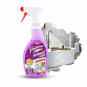 Засіб від нальоту Paloma Extra Power Антиналіт + Блиск, 600мл (PE50403)