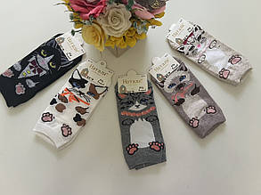 Жіночі короткі шкарпетки з кішечками 🫶