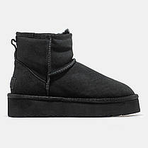 Зимові Жіночі Черевики UGG Classic Mini Platform Black / УГГ Класик Міні Платформа Чорні, фото 2