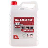 Антифриз BELAUTO RED G12+ (красный, концентрат) 5л (AF1350)