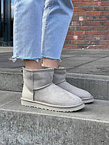 Зимові Жіночі Черевики UGG Mini Light Grey Metallic Suede / УГГ Міні Металік Суейд Світло Сірі, фото 3
