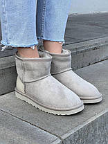 Зимові Жіночі Черевики UGG Mini Light Grey Metallic Suede / УГГ Міні Металік Суейд Світло Сірі, фото 5