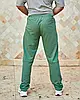Чоловічі спортивні штани Tailer із трикотажу двонитка, демісезонні Різні кольори, фото 9