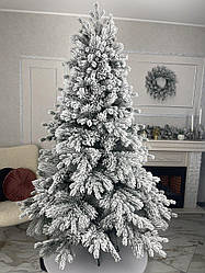 Сосна Канадська лита засніжена 2м