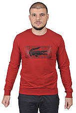 Світшот чоловічий Lacoste 23-K-9203 бордовий 2XL, фото 3