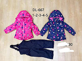 Комбінезон для дівчинки на флісі оптом (куртка +комбінезон), Taurus, 1-5 рр., арт. DL-667