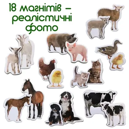 Набір магнітів Magdum "Ферма. Мами та малюки" англійською мовою (ML4031-08), фото 3