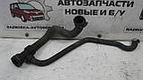 Патрубок радіатора охолодження нижній VW Passat B5 (1997-2000) OE:8D0121055F, фото 4
