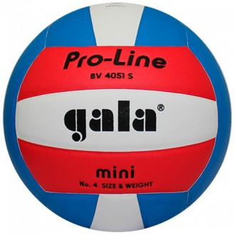 Волейбольний м'яч Gala Pro-Line BV4051S,, фото 1