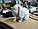 Білий кролик фігурка-іграшка  - 3D печать, фото 3