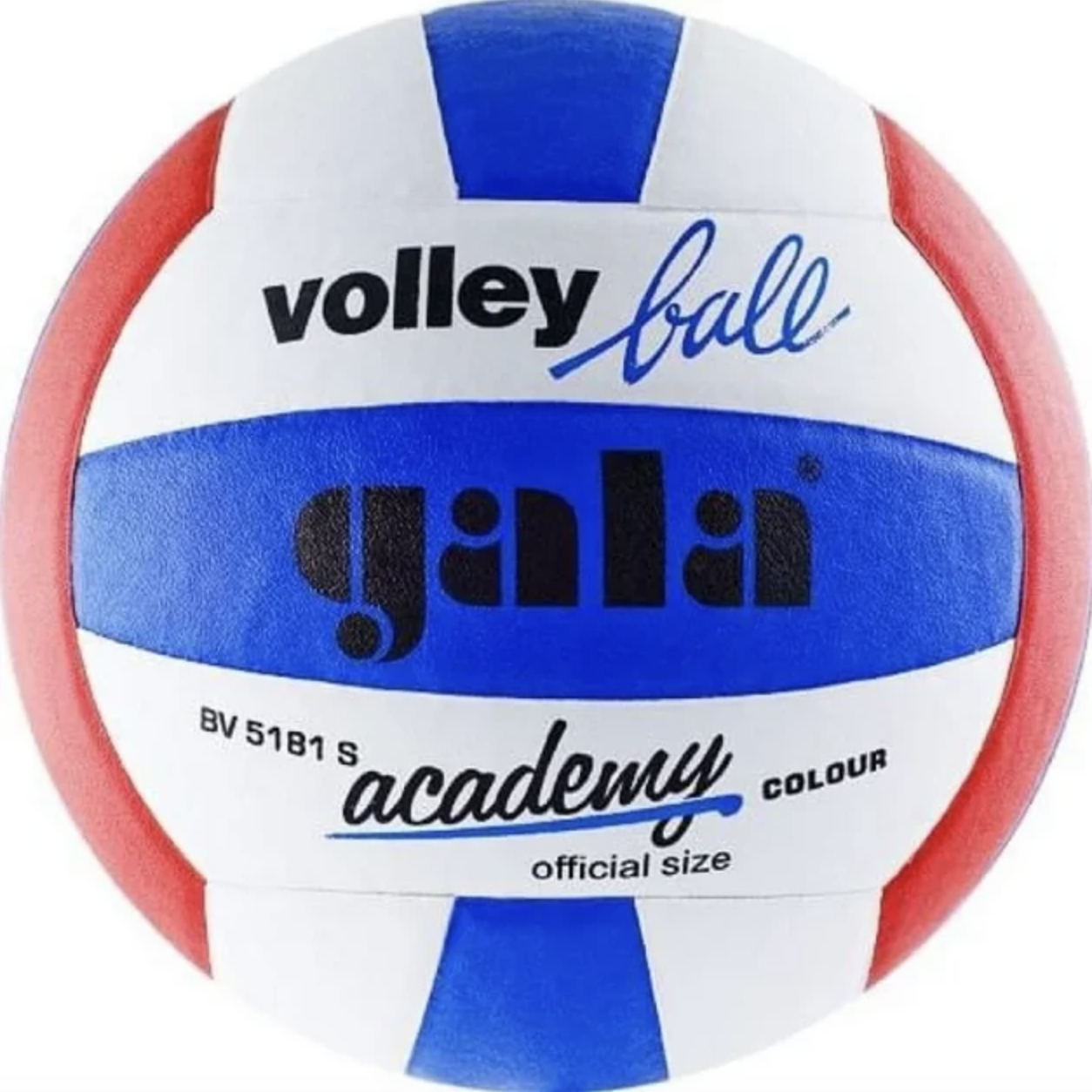 Волейбольний м'яч Gala Academy (арт. BV5181S),