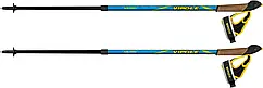 Палиці для скандинавської ходьби Vipole Vario Novice Blue/Green