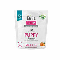 Сухой корм Brit Care Dog Puppy Salmon Grain-Free для собак аллергиков 1 кг