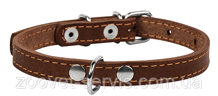 Нашийник для собак шкіряний Collar одинарний 20 мм 32-40 см коричневий 01336, фото 3