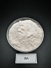 Індол-3-масляна кислота, Indole-3-butyric acid.