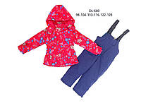 Зимний комплект (комбинезон + куртка) для девочек оптом, Taurus , 98-128 рр. арт. DL-680