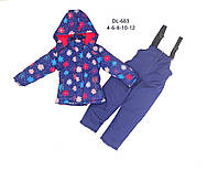 Зимний комплект (комбинезон + куртка) для девочек оптом, Taurus , 4-12 рр. арт. DL-683