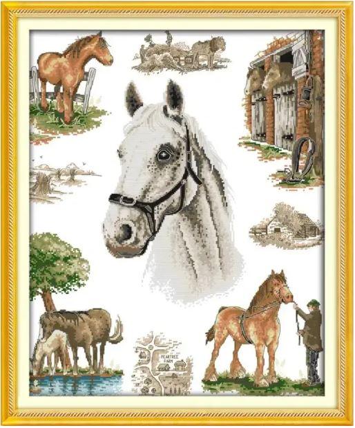 Набір для вишивання за нанесеною на канву схемою "The home of horse". AIDA 14CT printed 46*55 см, фото 1