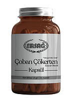 ЯКІРЦІ СЛАНКІ