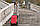 Сумка-візок Tris 52 Red Gimi арт. 929083, фото 2
