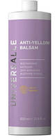 Відтінковий бальзам для волосся Universalle Anti-Yellow Balsam 1000ml
