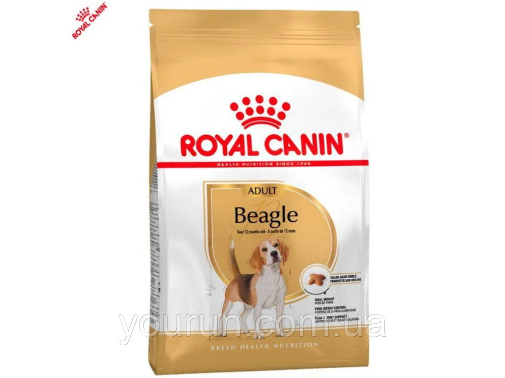 Royal Canin (Роял Канін) Beagle Adult - сухий корм для біглів від 12 міс.3 кг
