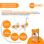 Премікс універсальний для качок на м'ясо AVA Chick MIX 5%. Фасовка 25 кг., фото 4