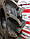 Шина 9.5-16 6PR BKT TR 171 96A6 R1W+ TT, фото 3