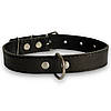 Шкіряний нашийник Canem для собак Чорний, 30 мм, обхват шиї 42 - 55 см, фото 7