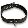 Шкіряний нашийник Canem для собак Чорний, 30 мм, обхват шиї 42 - 55 см, фото 8