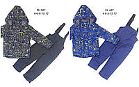 Костюмы детские на флисе (куртка +комбинезон) для мальчиков Taurus 4-12лет оптом DL-687