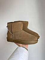 Жіночі угги UGG Mini Brown