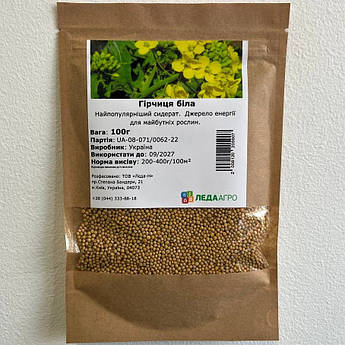 Гірчиця біла сидерат, 100 г (ЛАН)