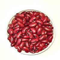 Семена фасоли Красная 0.5 кг