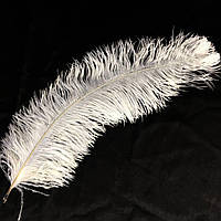 Перо страуса, колір білий, розмір 40-45 см*1 шт. (вузьке)