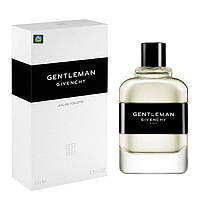 Туалетная вода мужская Givenchy Gentleman 2017 100 мл (Euro A-Plus)