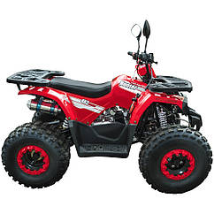 Квадроцикл із доставкою SPARK SP125-6