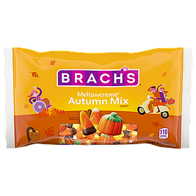 Ириски Brach's Autumn Mix 312g