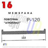 Мембрана повітряна на насос обприскувача Agroplast. Діафрагма насоса обприскувача Р-100, фото 5