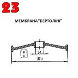 Мембрана насоса обприскувача — Bertolini 105 мм. Мембрана на італійський насос Бертоліні, фото 4